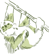 mokey vector